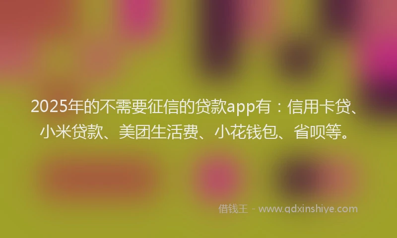 2025年的不需要征信的贷款app有：信用卡贷、小米贷款、美团生活费、小花钱包、省呗等。