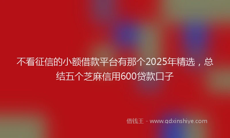 不看征信的小额借款平台有那个2025年精选，总结五个芝麻信用600贷款口子