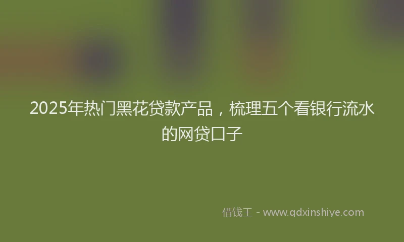 2025年热门黑花贷款产品，梳理五个看银行流水的网贷口子
