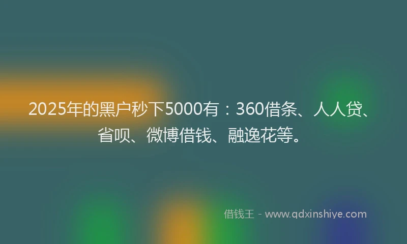 2025年的黑户秒下5000有：360借条、人人贷、省呗、微博借钱、融逸花等。