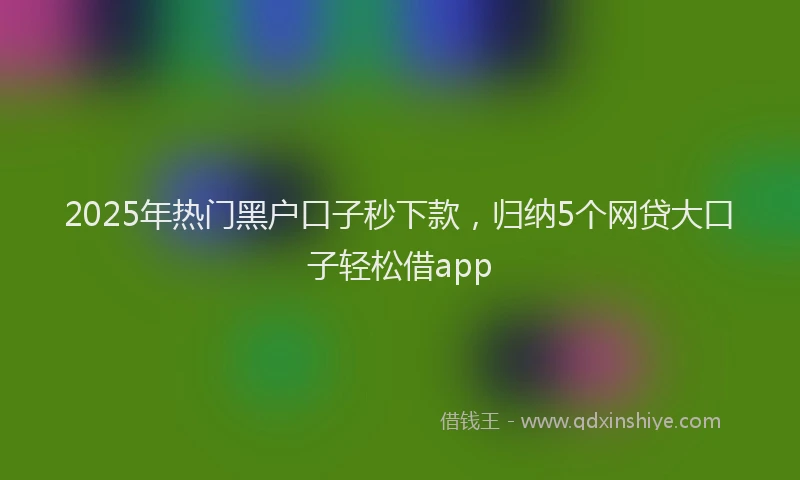 2025年热门黑户口子秒下款，归纳5个网贷大口子轻松借app