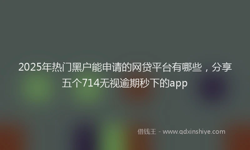 2025年热门黑户能申请的网贷平台有哪些，分享五个714无视逾期秒下的app