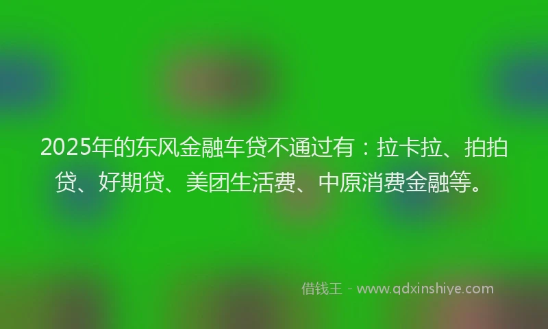 2025年的东风金融车贷不通过有：拉卡拉、拍拍贷、好期贷、美团生活费、中原消费金融等。