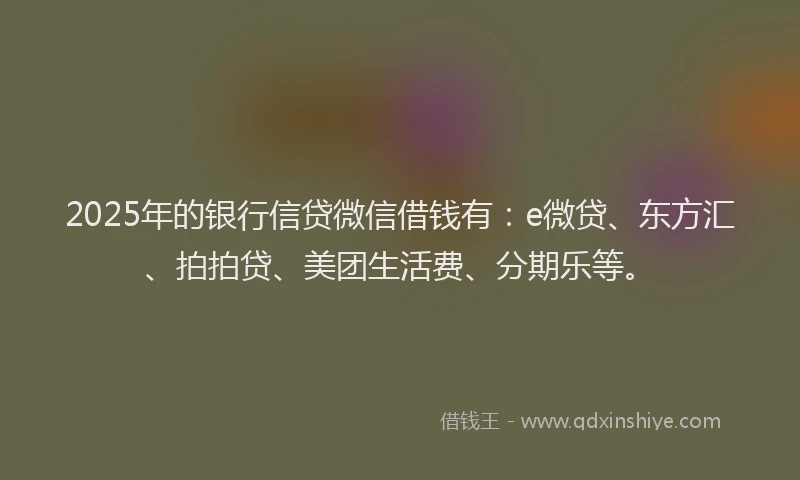 2025年的银行信贷微信借钱有：e微贷、东方汇、拍拍贷、美团生活费、分期乐等。