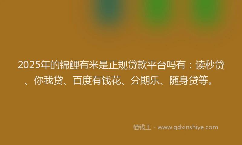 2025年的锦鲤有米是正规贷款平台吗有：读秒贷、你我贷、百度有钱花、分期乐、随身贷等。