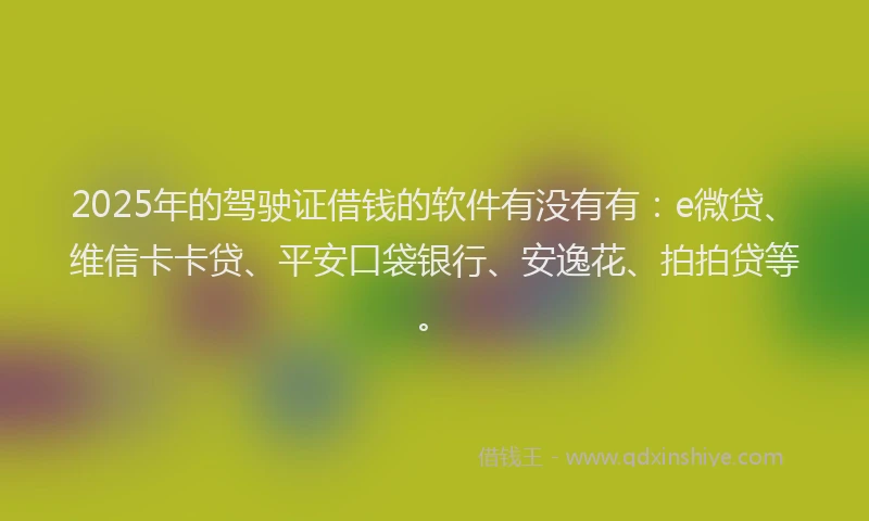2025年的驾驶证借钱的软件有没有有：e微贷、维信卡卡贷、平安口袋银行、安逸花、拍拍贷等。