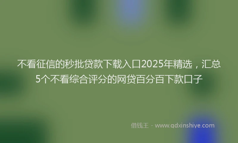 不看征信的秒批贷款下载入口2025年精选，汇总5个不看综合评分的网贷百分百下款口子