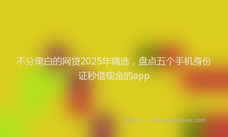 不分黑白的网贷2025年精选，盘点五个手机身份证秒借现金的app