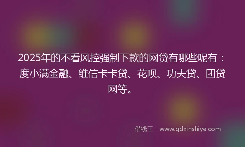 2025年的不看风控强制下款的网贷有哪些呢有：度小满金融、维信卡卡贷、花呗、功夫贷、团贷网等。