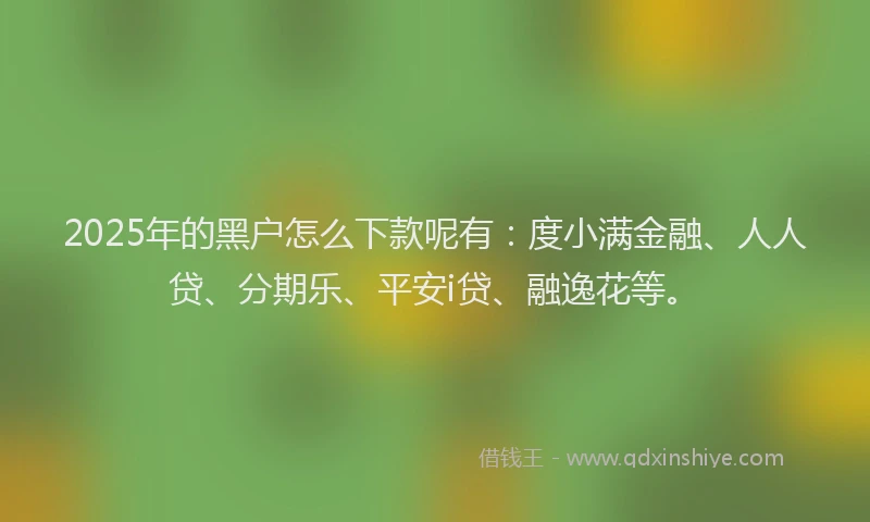 2025年的黑户怎么下款呢有：度小满金融、人人贷、分期乐、平安i贷、融逸花等。