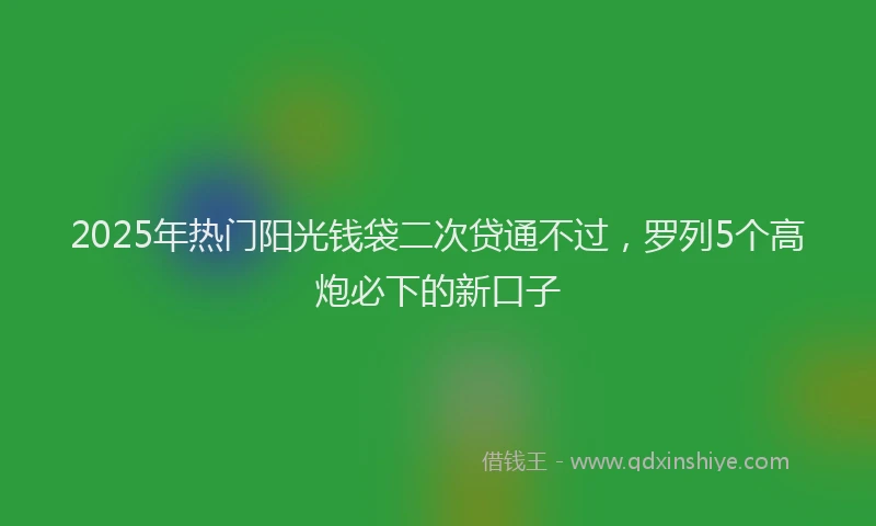 2025年热门阳光钱袋二次贷通不过，罗列5个高炮必下的新口子