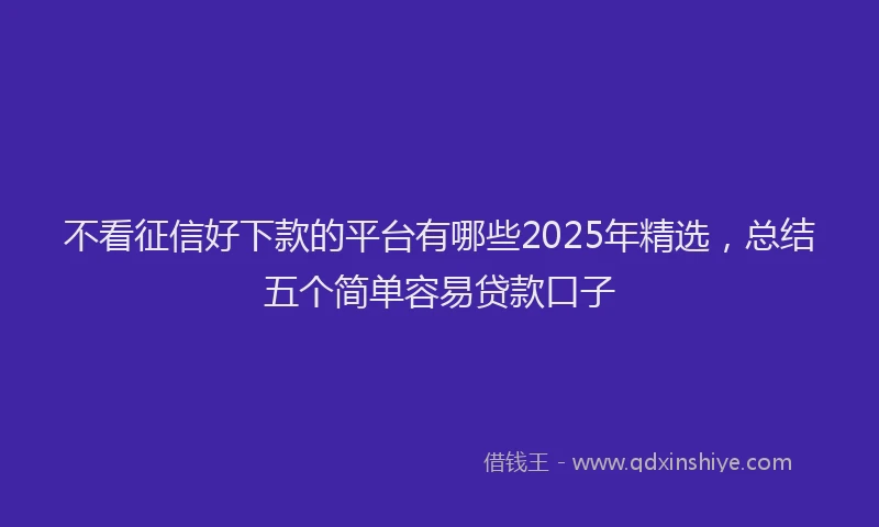 不看征信好下款的平台有哪些2025年精选，总结五个简单容易贷款口子