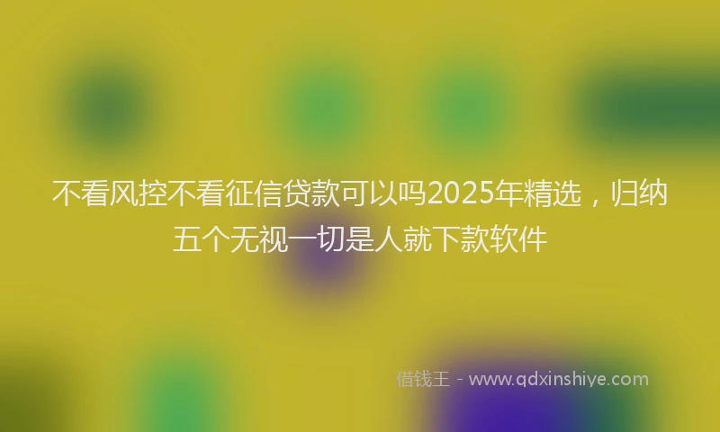 不看风控不看征信贷款可以吗2025年精选，归纳五个无视一切是人就下款软件