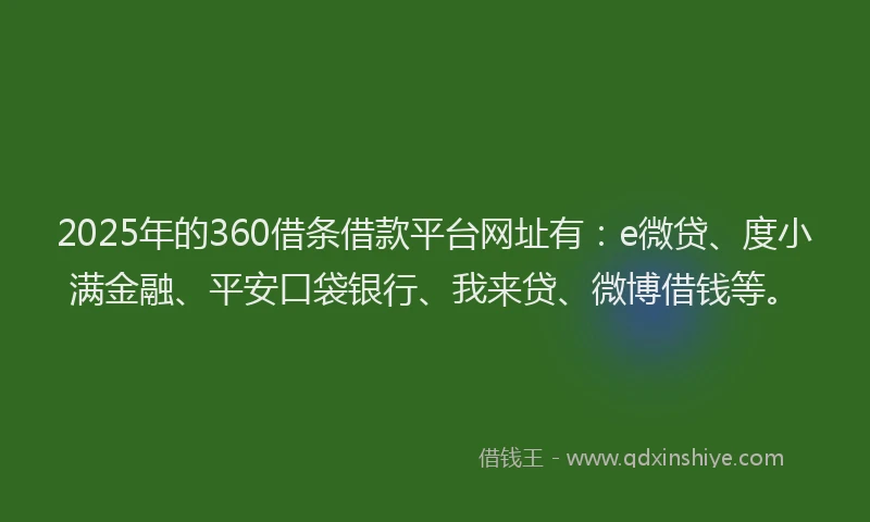 2025年的360借条借款平台网址有：e微贷、度小满金融、平安口袋银行、我来贷、微博借钱等。