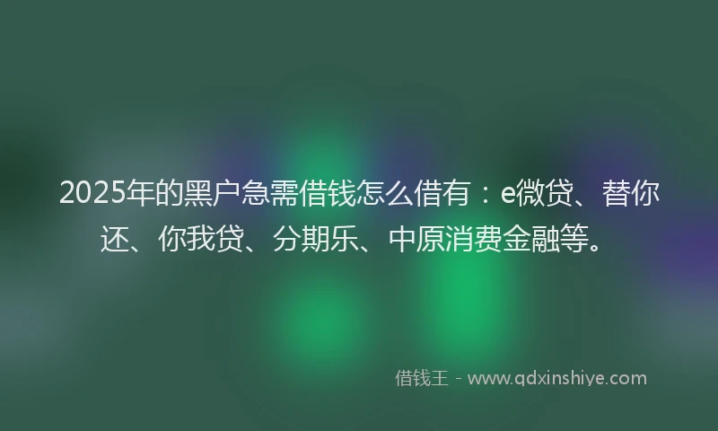2025年的黑户急需借钱怎么借有：e微贷、替你还、你我贷、分期乐、中原消费金融等。