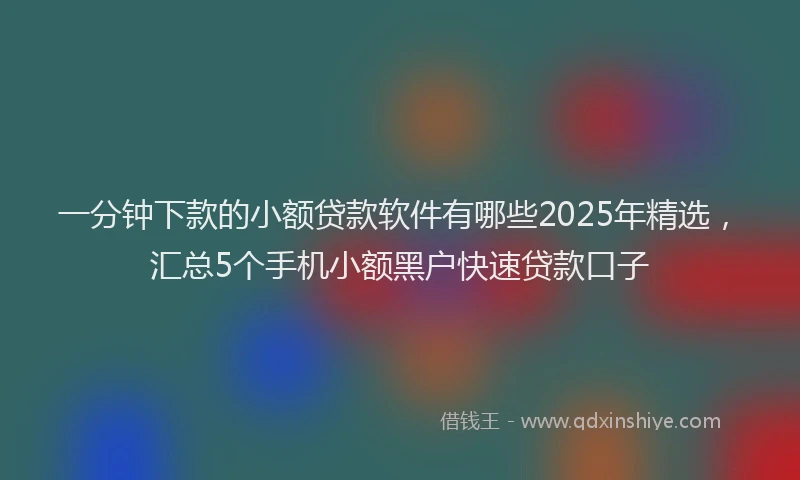 一分钟下款的小额贷款软件有哪些2025年精选，汇总5个手机小额黑户快速贷款口子