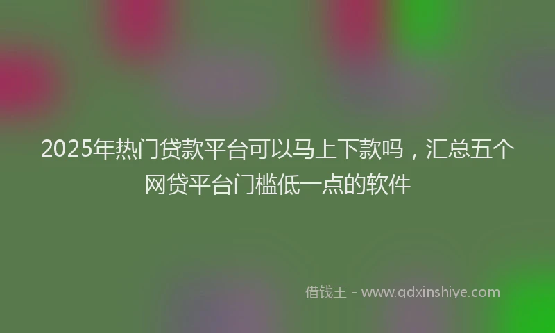 2025年热门贷款平台可以马上下款吗，汇总五个网贷平台门槛低一点的软件