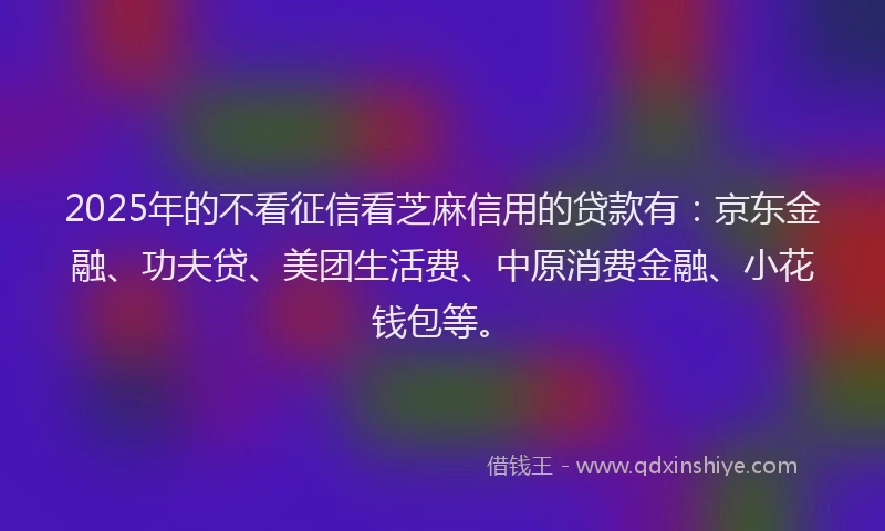 2025年的不看征信看芝麻信用的贷款有：京东金融、功夫贷、美团生活费、中原消费金融、小花钱包等。