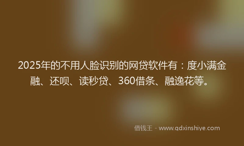 2025年的不用人脸识别的网贷软件有：度小满金融、还呗、读秒贷、360借条、融逸花等。
