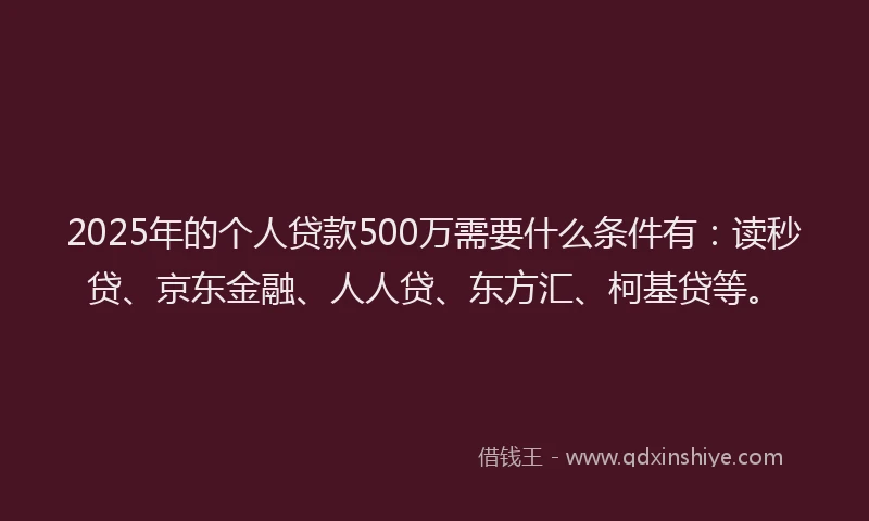 2025年的个人贷款500万需要什么条件有：读秒贷、京东金融、人人贷、东方汇、柯基贷等。
