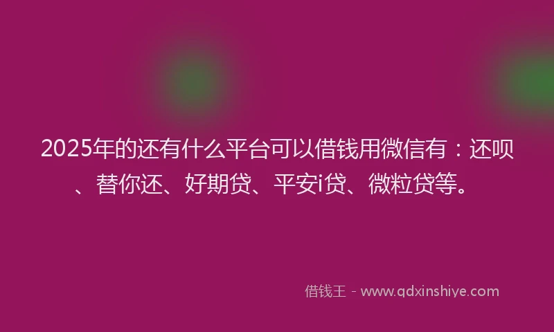 2025年的还有什么平台可以借钱用微信有：还呗、替你还、好期贷、平安i贷、微粒贷等。