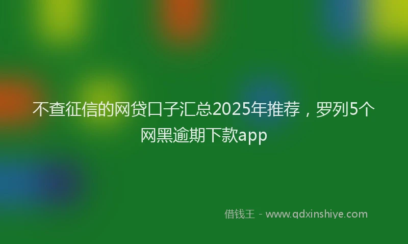 不查征信的网贷口子汇总2025年推荐，罗列5个网黑逾期下款app