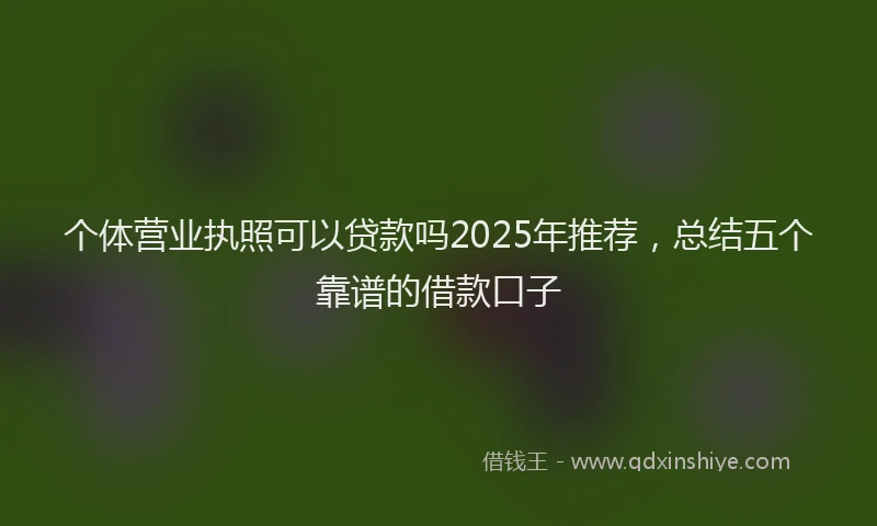 个体营业执照可以贷款吗2025年推荐，总结五个靠谱的借款口子
