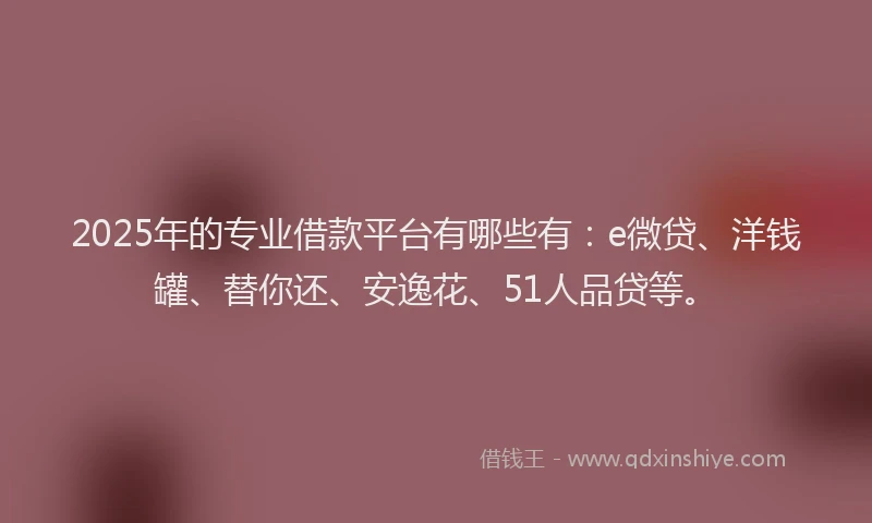 2025年的专业借款平台有哪些有：e微贷、洋钱罐、替你还、安逸花、51人品贷等。