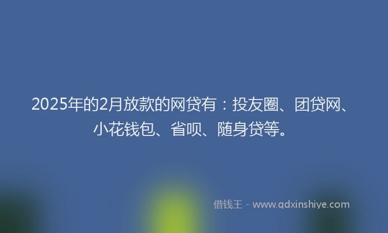 2025年的2月放款的网贷有：投友圈、团贷网、小花钱包、省呗、随身贷等。