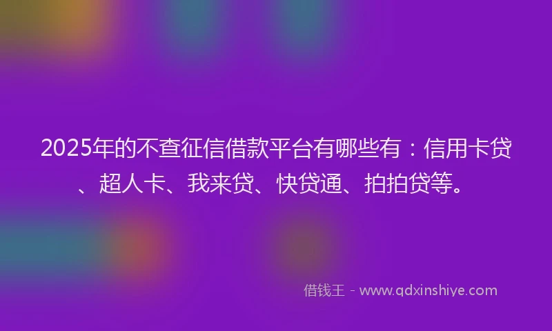 2025年的不查征信借款平台有哪些有：信用卡贷、超人卡、我来贷、快贷通、拍拍贷等。