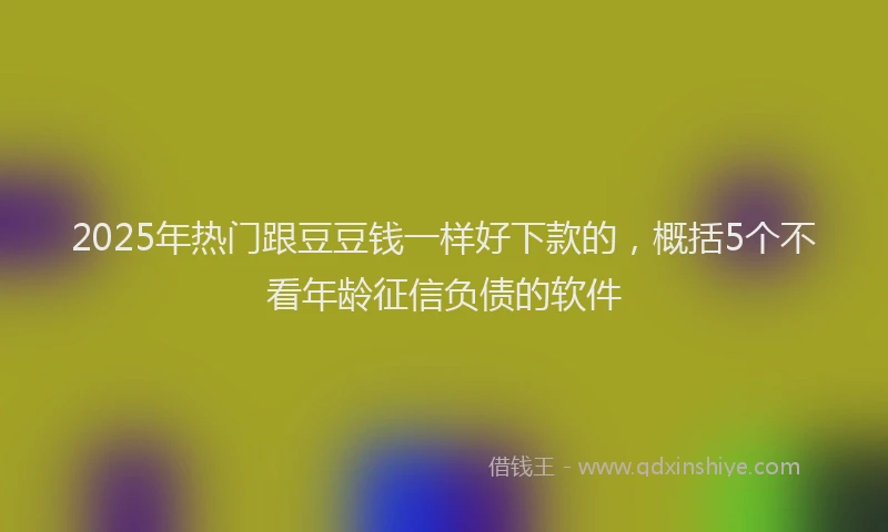 2025年热门跟豆豆钱一样好下款的，概括5个不看年龄征信负债的软件
