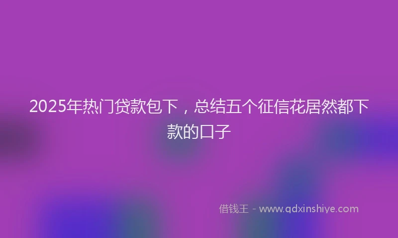 2025年热门贷款包下，总结五个征信花居然都下款的口子