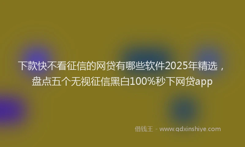 下款快不看征信的网贷有哪些软件2025年精选，盘点五个无视征信黑白100%秒下网贷app