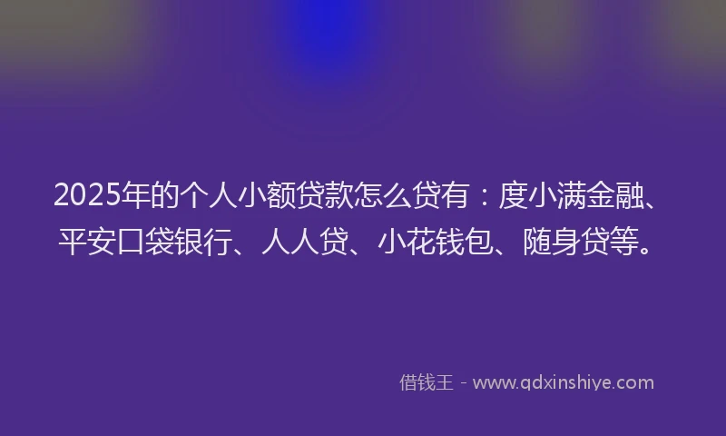 2025年的个人小额贷款怎么贷有：度小满金融、平安口袋银行、人人贷、小花钱包、随身贷等。
