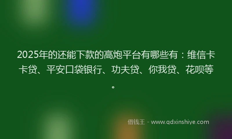 2025年的还能下款的高炮平台有哪些有：维信卡卡贷、平安口袋银行、功夫贷、你我贷、花呗等。