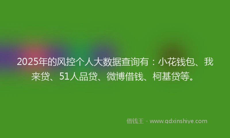 2025年的风控个人大数据查询有：小花钱包、我来贷、51人品贷、微博借钱、柯基贷等。