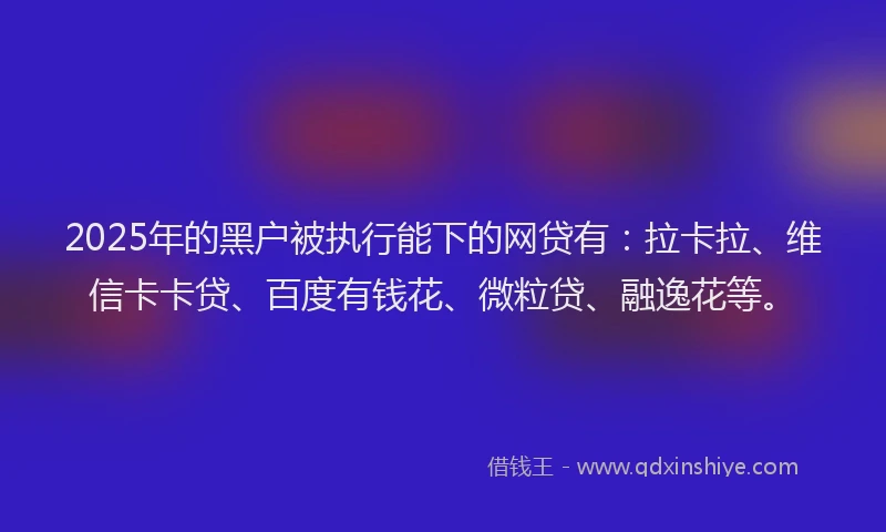 2025年的黑户被执行能下的网贷有：拉卡拉、维信卡卡贷、百度有钱花、微粒贷、融逸花等。