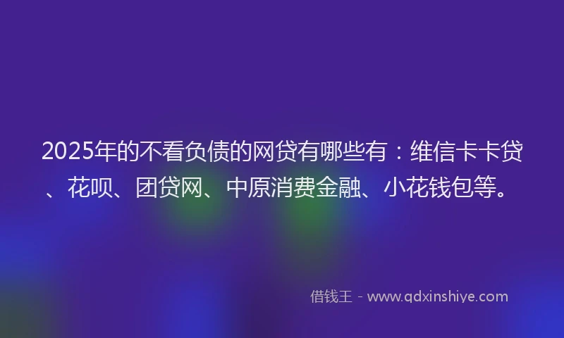 2025年的不看负债的网贷有哪些有：维信卡卡贷、花呗、团贷网、中原消费金融、小花钱包等。