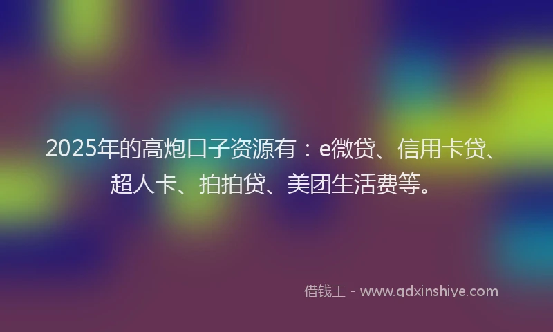 2025年的高炮口子资源有：e微贷、信用卡贷、超人卡、拍拍贷、美团生活费等。
