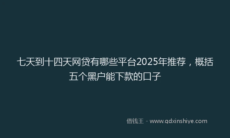 七天到十四天网贷有哪些平台2025年推荐，概括五个黑户能下款的口子