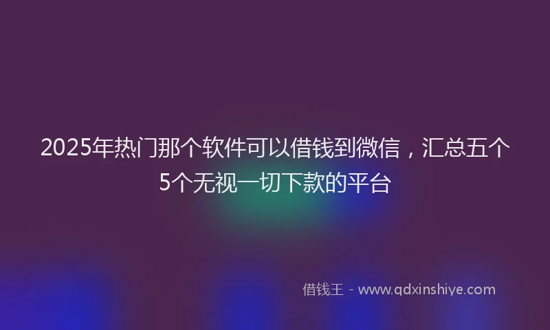 2025年热门那个软件可以借钱到微信，汇总五个5个无视一切下款的平台