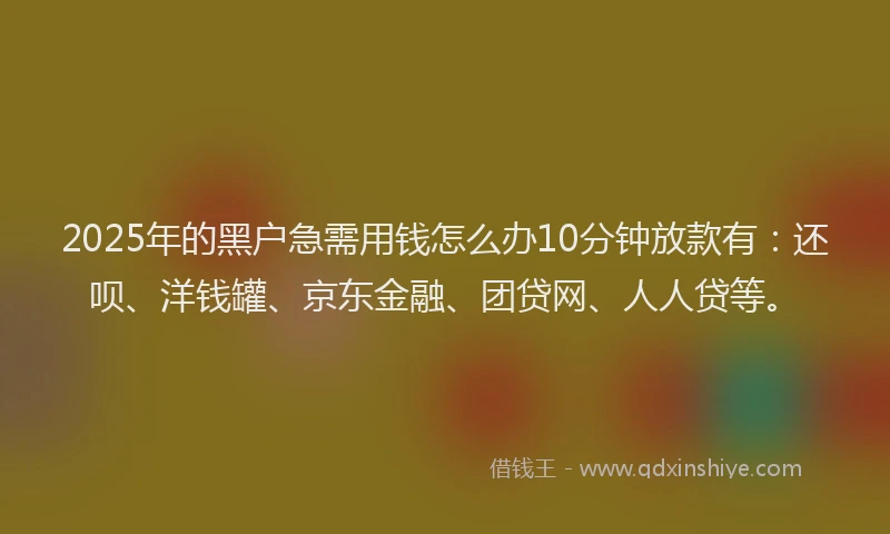 2025年的黑户急需用钱怎么办10分钟放款有：还呗、洋钱罐、京东金融、团贷网、人人贷等。