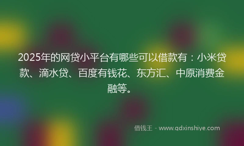 2025年的网贷小平台有哪些可以借款有：小米贷款、滴水贷、百度有钱花、东方汇、中原消费金融等。