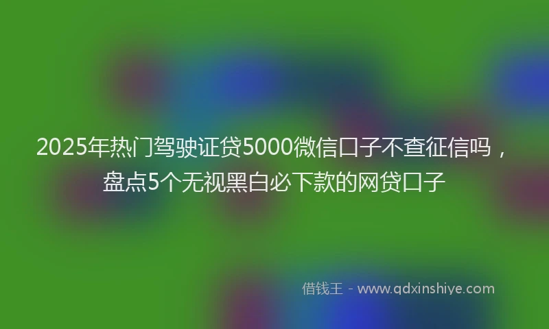 2025年热门驾驶证贷5000微信口子不查征信吗，盘点5个无视黑白必下款的网贷口子