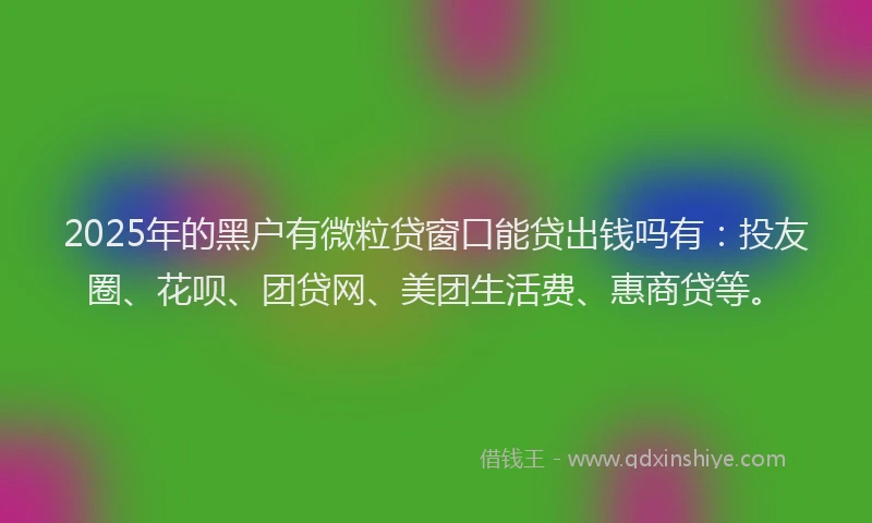 2025年的黑户有微粒贷窗口能贷出钱吗有：投友圈、花呗、团贷网、美团生活费、惠商贷等。
