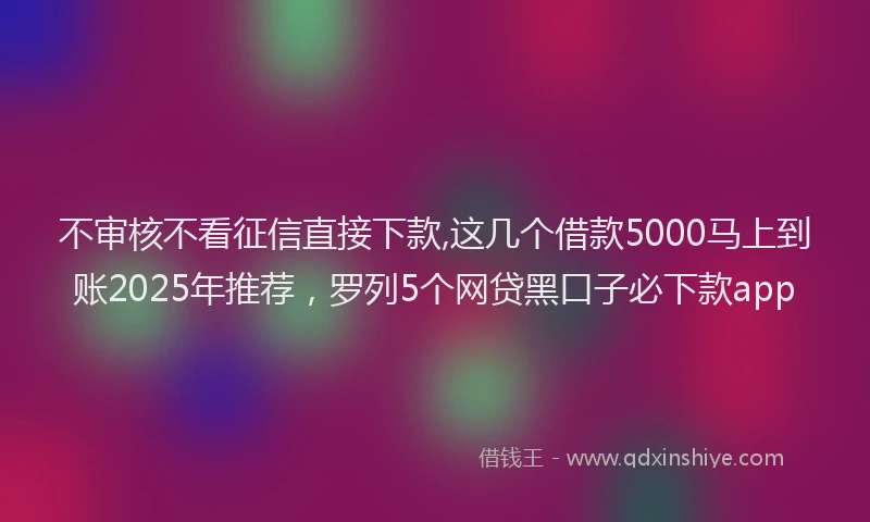 不审核不看征信直接下款,这几个借款5000马上到账2025年推荐，罗列5个网贷黑口子必下款app