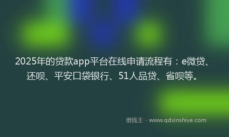 2025年的贷款app平台在线申请流程有：e微贷、还呗、平安口袋银行、51人品贷、省呗等。