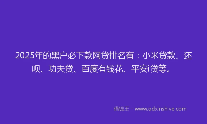 2025年的黑户必下款网贷排名有：小米贷款、还呗、功夫贷、百度有钱花、平安i贷等。