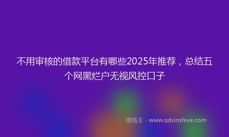 不用审核的借款平台有哪些2025年推荐，总结五个网黑烂户无视风控口子