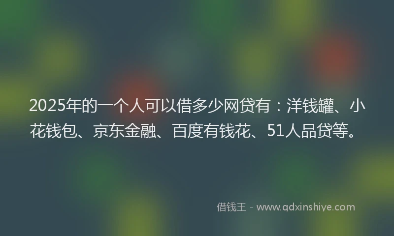 2025年的一个人可以借多少网贷有：洋钱罐、小花钱包、京东金融、百度有钱花、51人品贷等。